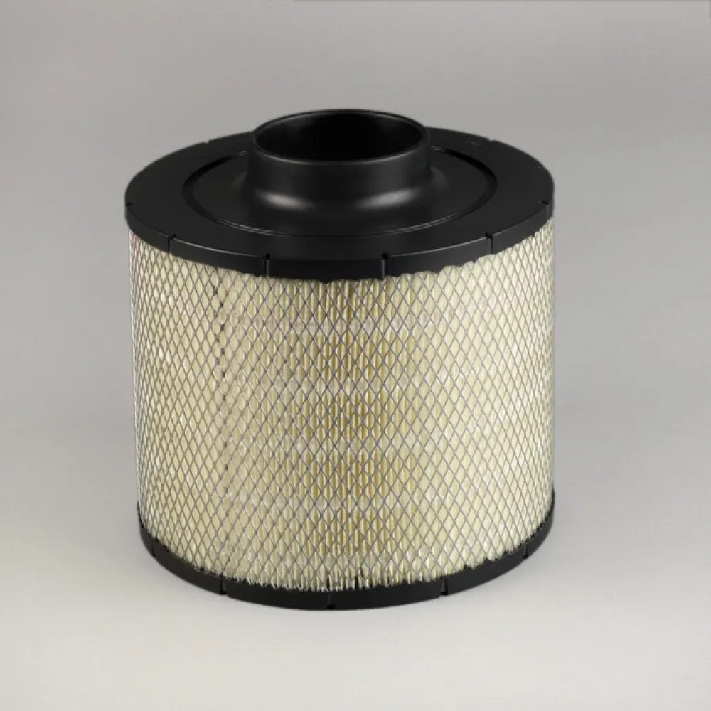 Donaldson B100094 lọc gió thô động cơ