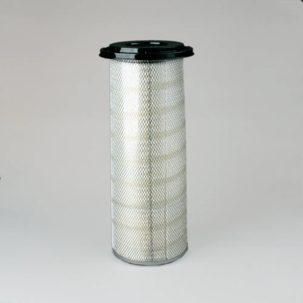 Donaldson P150695 lọc gió thô động cơ
