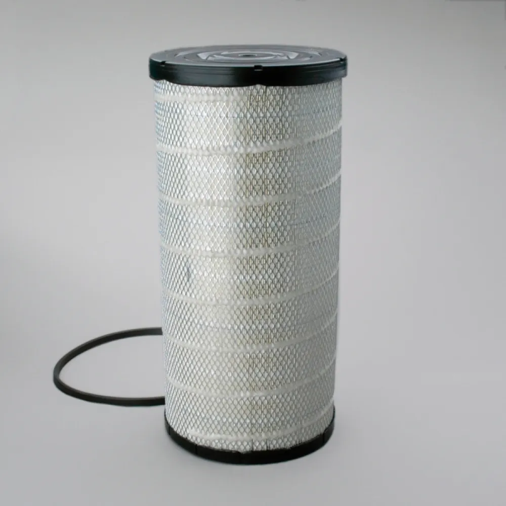 Donaldson P534816 lọc gió thô động cơ