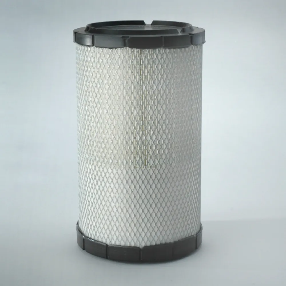 Donaldson P784609 lọc gió thô động cơ