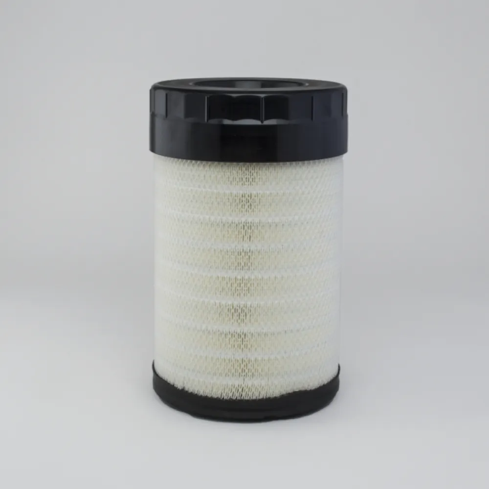 Donaldson P952024 lọc gió thô động cơ