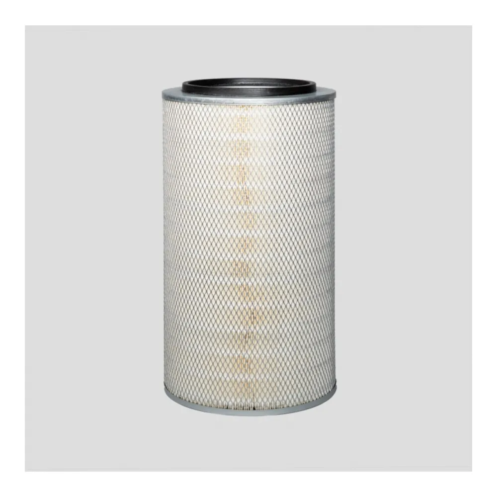 Donaldson R000111 lọc gió thô động cơ