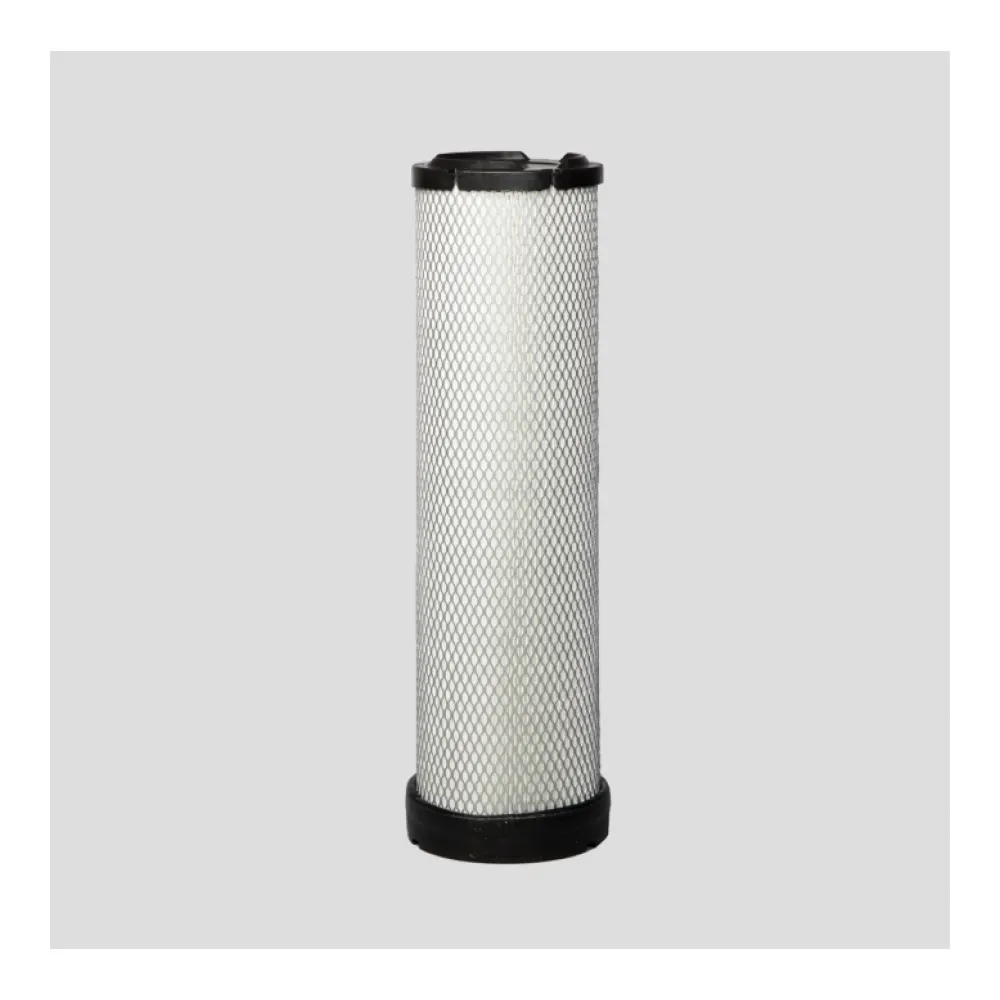 Donaldson R000586 lọc gió tinh động cơ