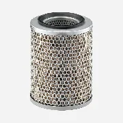 Mann Filter C17134 lọc gió thô