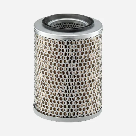 Mann Filter C17134 lọc gió thô